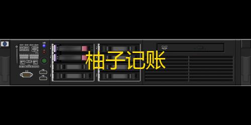 暗区突围透视辅助柚子记账